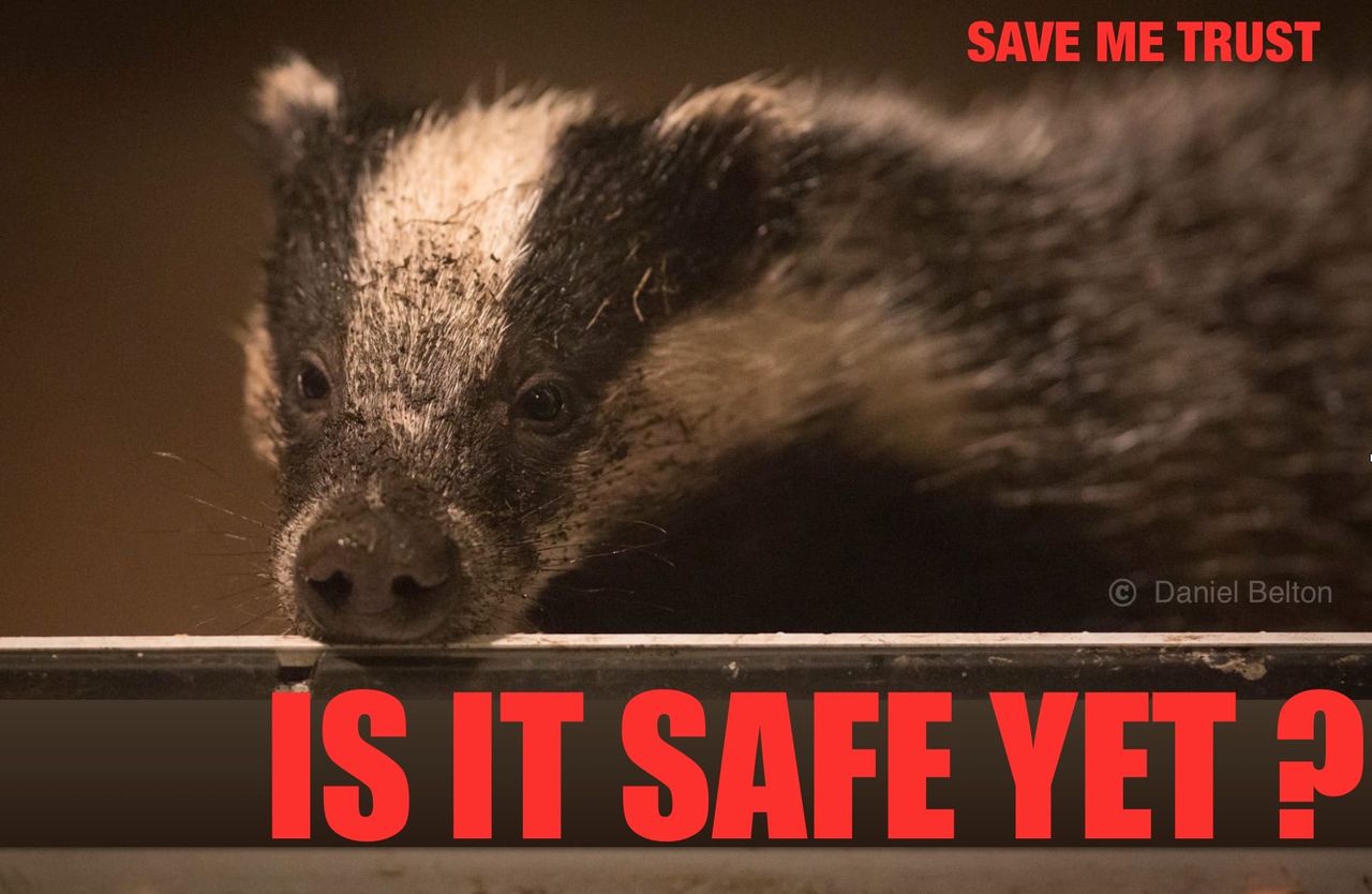 Saveme Trust Save Me Trust Legal Action: Thursday 24th September 2015 - Save Me Trust