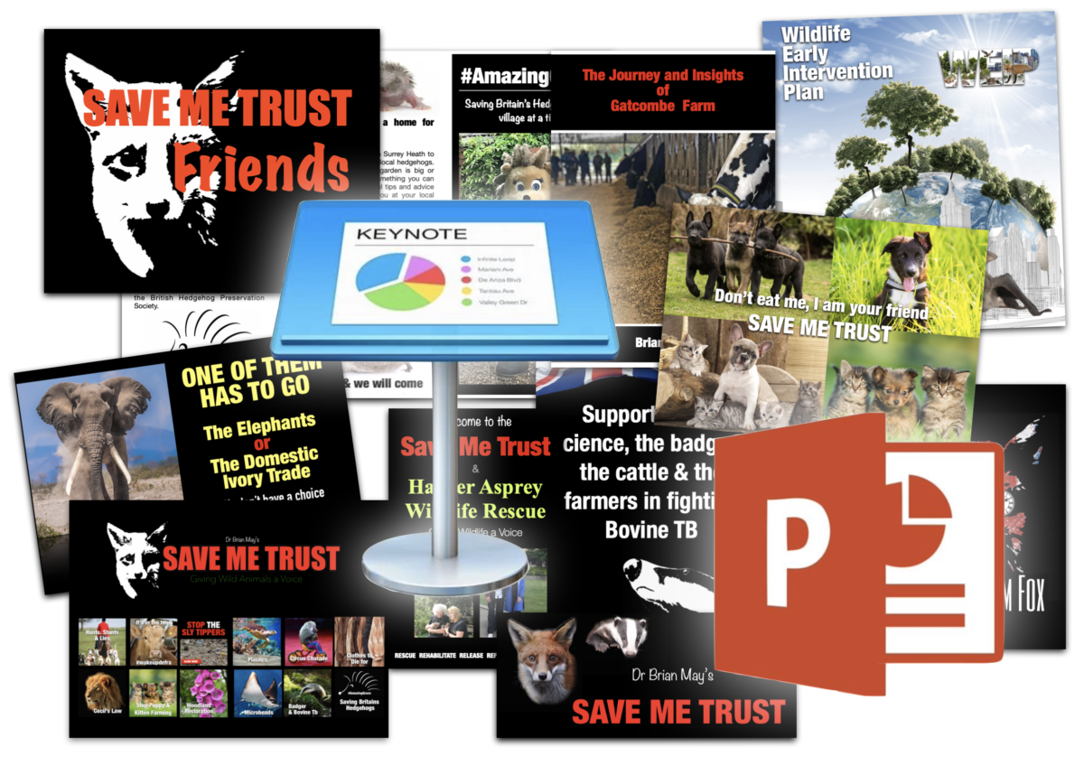 Saveme Trust Take Action - Save Me Trust