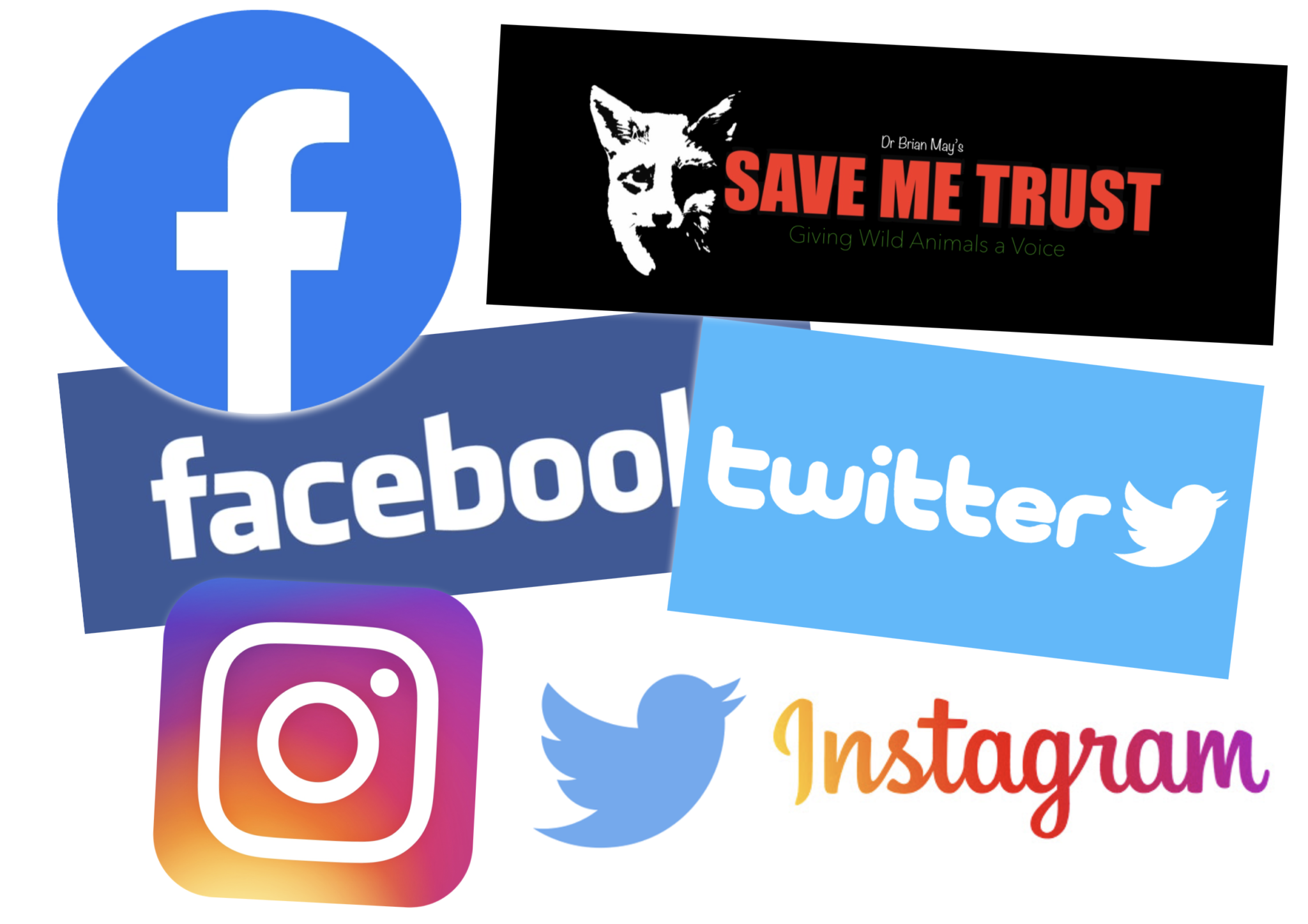Take Action - Save Me Trust